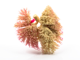 angela watson artwork