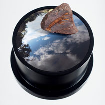 filomena copploa artwork