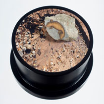 filomena copploa artwork