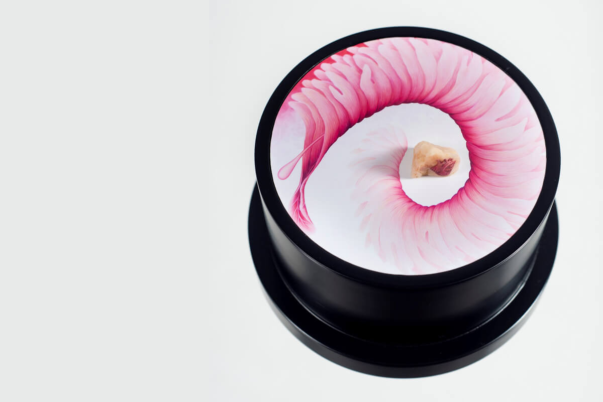 circle of stones at gallery 152